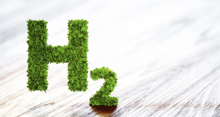 Hydrogen Fuel Cell Technology