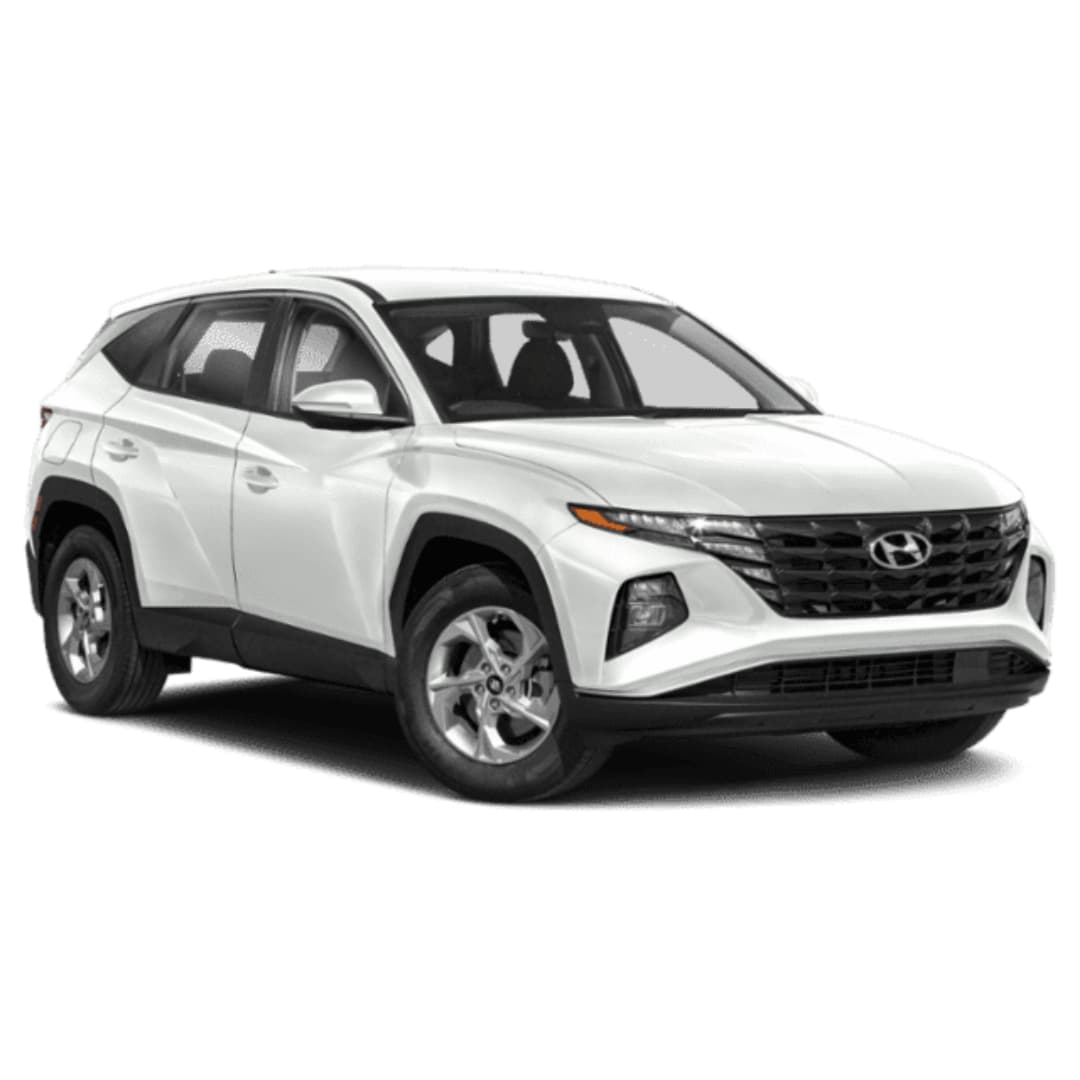 NVH Car