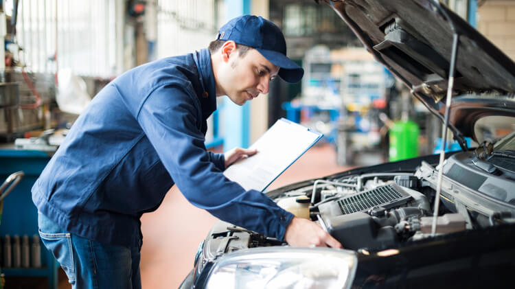 Vehicle Checks