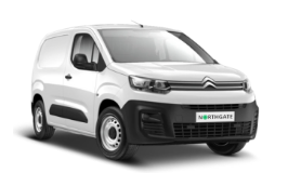 Citberlingo 266X160