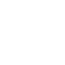 Twitter icon